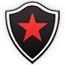 Botafogo Futebol Clube