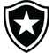 Botafogo de Futebol e Regatas