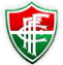 Fluminense de Feira Futebol Clube
