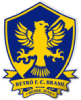 Retrô Futebol Clube Brasil